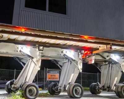 Auckland Roll Growth Project (2)