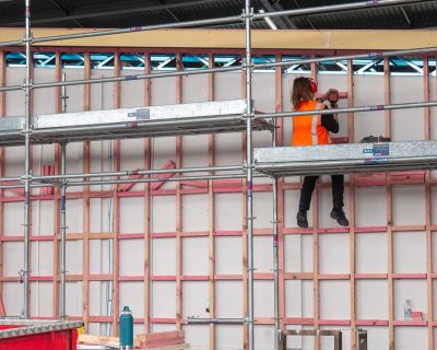 Auckland Roll Growth Project (3)