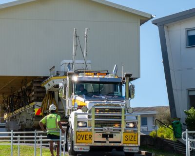 Auckland Roll Growth Project (4)